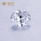 1ct-10ct verklaarde Laboratorium Gekweekte Diamanten Witte Poolse Diamant
